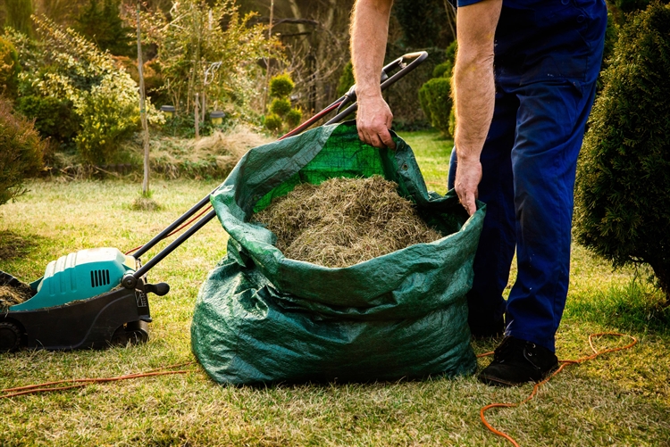 Lawn Care Long Grass Clearance