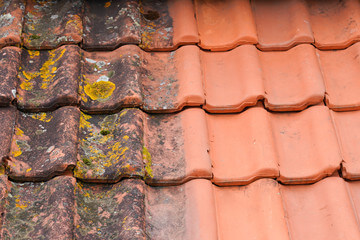 Roof Cleaning Near Me