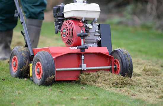 Croydon mower service cheap