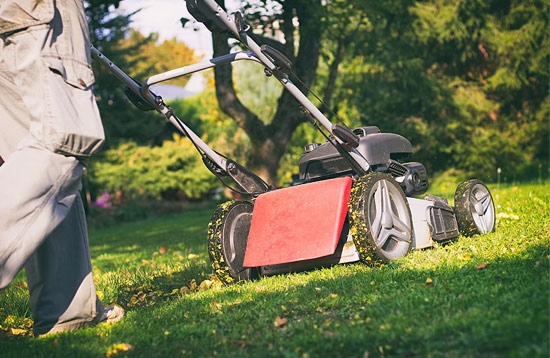 Lawn and Garden Quote
