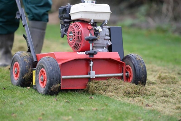 Scarification – revitalise your lawn just in time for spring!