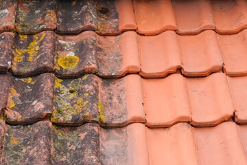 Why roof cleaning should be at the top of your spring cleaning checklist