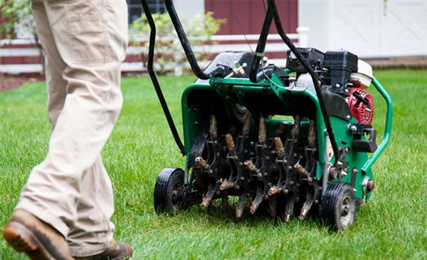 How aeration can transform your lawn
