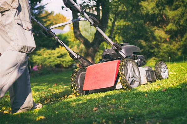 Cutting-edge equipment for a pristine lawn!