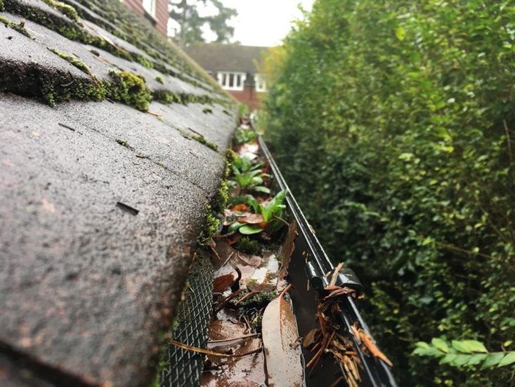 Gutter clearing testing and minor repairs