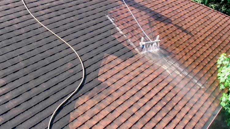 Roof treatment and cleaning