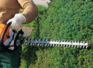 Hedge cutting