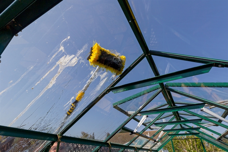 Greenhouse cleaning