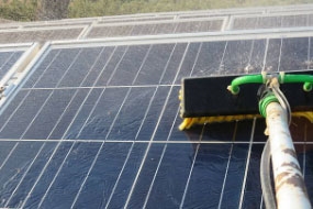 Solar panel cleaning
